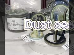Cylinder Rod Rubber Dust Seal DSI LBI LBH VAY DH Verschillend type Hoogtemperatuurbestendige