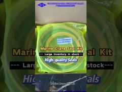 Mariene kraan JC0000-5325R0-6101 160/230 UPP hydraulische cilinder ASS'Y Φ250 rechter boutafdichtingsset.